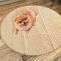 Zampa Pets Quality Whelp Round, Circular Shape Reusable Dog Pee Pads/Quilted, Fast Absorbing Dog Whelping Pad/Waterproof Puppy Training Mats/Machine Washable, Great for Playpen