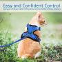 rabbitgoo Cat Harness and Leash for Walking, Escape Proof Soft Adjustable Vest Harnesses for Medium Large Cats, Easy Control Breathable Pet Safety Jacket with Reflective Strips & 1 Metal Leash Ring