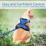 rabbitgoo Cat Harness and Leash for Walking, Escape Proof Soft Adjustable Vest Harnesses for Medium Large Cats, Easy Control Breathable Pet Safety Jacket with Reflective Strips & 1 Metal Leash Ring rabbitgoo Cat Harness and Leash for Walking, Escape Proof Soft Adjustable Vest Harnesses for Medium Large Cats, Easy Control Breathable Pet Safety Jacket with Reflective Strips & 1 Metal Leash Ring