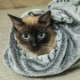 Pet Dog Blanket Fluffy Fleece, Soft and Cozy Pet Cat Throw with Paws Print for Dogs & Cats, Machine Washable Premium Non Shedding, Gray