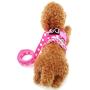 SELMAI Puppy Cat Small Girl Dog Dots Vest Harness Leash Set Mesh Padded No Pull Lead (Size Run Small,Please Check Size Details Carefully Before Purchase)