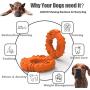 Freezable Dog Chew Toys for Teething Dogs - Lifetime Replacement Guarantee - All Natural Rubber Puppy Teether Cooling Toys for Small/Medium Puppies, Perfect Training Pool Floating Chew Ring Toys Freezable Dog Chew Toys for Teething Dogs - Lifetime Replacement Guarantee - All Natural Rubber Puppy Teether Cooling Toys for Small/Medium Puppies, Perfect Training Pool Floating Chew Ring Toys