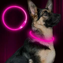 BSEEN LED Dog Collar, USB Rechargeable, Glowing Pet Dog Collar for Night Safety, Fashion Light up Collar for Small Medium Large dogs