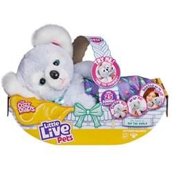 Little Live Pets Cozy Dozy Kip The Koala Bear - Over 25 Sounds and Reactions | Bedtime Buddies, Blanket and Pacifier Included | Stuffed Animal, Best Nap Time, Interactive Bear