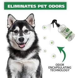 Wahl Odor Neutralizer for Dogs and Wherever they Lay, Scent Free – 8 oz