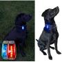 Hercules Tuff Safety Lights for Kids | Running Lights for Runners | Excellent Stocking Stuffer idea for Kids, Teens, Dog Walkers, Bikers & More!