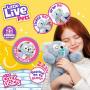 Little Live Pets Cozy Dozy Kip The Koala Bear - Over 25 Sounds and Reactions | Bedtime Buddies, Blanket and Pacifier Included | Stuffed Animal, Best Nap Time, Interactive Bear