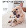 Petstages Dog Chew Toys – Safe & Long Lasting Chewable Sticks - Tough Alternative Chewing Sticks for Dogs