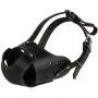 CollarDirect Dog Muzzle Pitbull Amstaff Basket Genuine Leather Staffordshire Terrier