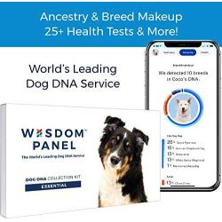 Wisdom Panel Essential – Dog DNA Test for Ancestry, Traits, and Medical Complications