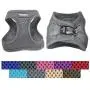 Downtown Pet Supply No Pull, Step in Adjustable Dog Harness, Easy to Put on Small, Medium and Large Dogs Downtown Pet Supply No Pull, Step in Adjustable Dog Harness, Easy to Put on Small, Medium and Large Dogs