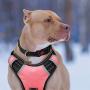 BABYLTRL Big Dog Harness No Pull Adjustable Pet Reflective Oxford Soft Vest for Large Dogs Easy Control Harness BABYLTRL Big Dog Harness No Pull Adjustable Pet Reflective Oxford Soft Vest for Large Dogs Easy Control Harness