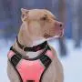 BABYLTRL Big Dog Harness No Pull Adjustable Pet Reflective Oxford Soft Vest for Large Dogs Easy Control Harness
