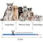 LED Dog Collar,USB Rechargeable Glowing Dog Collars, Light Up Collar Improved Pet Safety &Visibility at Night, 3 Flashing Modes,Water-Resistant Lighted Collar Fits For Small Medium Large Dogs
