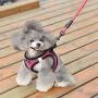 matilor 2 Packs Dog Harness Step-in Breathable Puppy Cat Dog Vest Harnesses for Small Medium Dogs