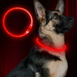 BSEEN LED Dog Collar, USB Rechargeable, Glowing Pet Dog Collar for Night Safety, Fashion Light up Collar for Small Medium Large dogs