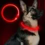 BSEEN LED Dog Collar, USB Rechargeable, Glowing Pet Dog Collar for Night Safety, Fashion Light up Collar for Small Medium Large dogs