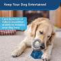 PetSafe Jewel Pop Treat Holding Dog Toy PetSafe Jewel Pop Treat Holding Dog Toy