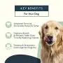 Petlab Co. Dental Formula Water Additive for Dogs | Targets Dog Plaque and Tartar Build-Up for Fresher Breath and Healthier Gums | Fresh Drinking Oral Hygiene Care (No Brush Required)