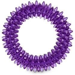 Leaps & Bounds Romp and Run Spiny Ring Dog Toy in Assorted Colors