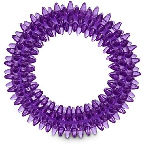 Leaps & Bounds Romp and Run Spiny Ring Dog Toy in Assorted Colors