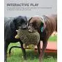 Outward Hound Hedgehogz Squeaky Dog Toy – Cuddly Soft Toy for Dogs - Durable Plush Fluffy Toy for Awesome Pets
