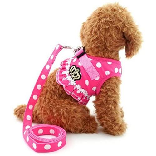 SELMAI Puppy Cat Small Girl Dog Dots Vest Harness Leash Set Mesh Padded No Pull Lead (Size Run Small,Please Check Size Details Carefully Before Purchase)