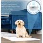 Heavy Doody Supplies Potty Pads – Super Absorbent and Leakproof Pet Training Pee Pads to Keep Floors Mess-Free – Ideal for Puppies and Small Dogs – Available in Gender Specific Superhero Themes