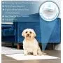 Heavy Doody Supplies Potty Pads – Super Absorbent and Leakproof Pet Training Pee Pads to Keep Floors Mess-Free – Ideal for Puppies and Small Dogs – Available in Gender Specific Superhero Themes Heavy Doody Supplies Potty Pads – Super Absorbent and Leakproof Pet Training Pee Pads to Keep Floors Mess-Free – Ideal for Puppies and Small Dogs – Available in Gender Specific Superhero Themes