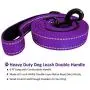DOGSAYS Dog Leash 6ft Long - Traffic Padded Two Handle - Heavy Duty - Double Handles Lead for Training Control - 2 Handle Leashes for Large Dogs or Medium Dogs - Reflective Pet Leash Dual Handle DOGSAYS Dog Leash 6ft Long - Traffic Padded Two Handle - Heavy Duty - Double Handles Lead for Training Control - 2 Handle Leashes for Large Dogs or Medium Dogs - Reflective Pet Leash Dual Handle