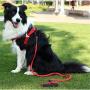 POPI Dog Harness Durable and Flexible Step in Chest Strap Adjustable Outdoor Activities Pet Vest Pet Harness for Dogs Easy Control for Small Medium Large Dogs