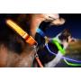 Illumiseen LED Dog Leash - USB Rechargeable - Available in 6 Colors & 2 Sizes - Makes Your Dog Visible, Safe & Seen