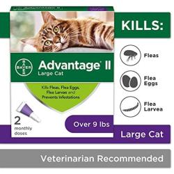 Advantage II 2-Dose Flea Prevention and Treatment for Large Cats, Over 9 Pounds