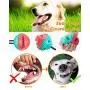 n / a Dog Chew Toys, 2 in1 Interactive Toy Teething Cleaner Toothbrush Treat Ball Sticks for Small Pet Puppy Chewers Fun Chase