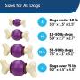 PetSafe Busy Buddy Bouncy Bone, Treat Holding Dog Toy, Small, Medium, Medium/Large and Large Sizes