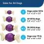 PetSafe Busy Buddy Bouncy Bone, Treat Holding Dog Toy, Small, Medium, Medium/Large and Large Sizes