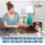 Pet Craft Supply Self-Cleaning Pet Grooming Hair Deshedding Brush Tool Small Dogs Cats Short to Long Hair Pet Craft Supply Self-Cleaning Pet Grooming Hair Deshedding Brush Tool Small Dogs Cats Short to Long Hair