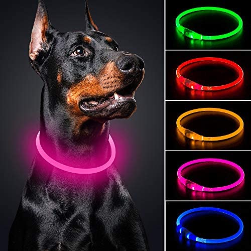 BSEEN LED Dog Collar - Cuttable Water Resistant Glowing Dog Collar Light Up, USB Rechargeable or Battery Powered Pet Necklace Loop for Dogs