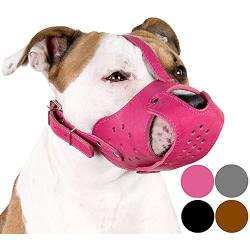 CollarDirect Dog Muzzle Pitbull Amstaff Basket Genuine Leather Staffordshire Terrier