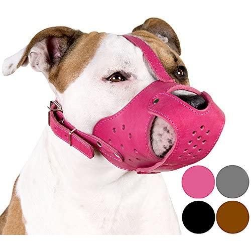 CollarDirect Dog Muzzle Pitbull Amstaff Basket Genuine Leather Staffordshire Terrier CollarDirect Dog Muzzle Pitbull Amstaff Basket Genuine Leather Staffordshire Terrier