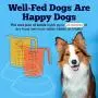 American Pet Supplies Dog Bowls, Set of 2 Non Skid & Non Tip Bowls for Puppies and Dogs
