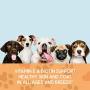 Ready Pet Go! Omega 3 for Dogs | Fish Oil for Dog Shedding, Skin Allergy, Itch Relief, Mange and Hot Spots Treatment - EPA & DHA - Natural Joint Supplement for Dogs, Heart and Brain Health - 90 Chews