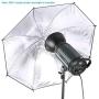 Neewer S300N Professional Studio Monolight Strobe Flash Light-300W 5600K with Modeling Lamp,Aluminium Alloy Professional Speedlite for Indoor Studio Location Model Photography and Portrait Photography