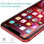 Syncwire Screen Protector for iPhone 11, iPhone XR (3-Pack), Anti-Fingerprint Tempered Glass Screen Protector (9H Hardness, 6X Stronger, Installation Frame, Bubble Free) [Not Edge to Edge]