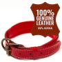 Logical Leather Padded Dog Collar - Best Full Grain Heavy Duty Genuine Leather Collars