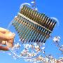 Koldot Clear Kalimba 17 Keys Engraved With Notes Bear Shaped Thumb Piano Solid Finger Piano Clear Body Cute Crystal Acrylic Kalimba With Tuning Hammer Hard Case Gifts for Kids Adult Beginners