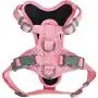 Blueberry Pet 15+ Colors Safe & Comfy Reflective Multi-Colored Stripe Collection - Collars, Harnesses, Leashes, Seatbelts for Dogs, Matching Lanyards for Pet Lovers