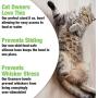 Van Ness ECOWARE Cat Dish
