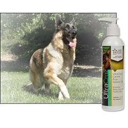 UltraCruz Canine Pure Salmon Oil Supplement for Dogs, 8 oz