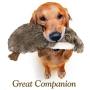 Pawaboo Squeak Plush Dog Toys, Stuffed Plush Pet Toys Soft Faux-Fur Pet Rattle Puppy Bite Play Chew Toys Non-Toxic Plush Doll